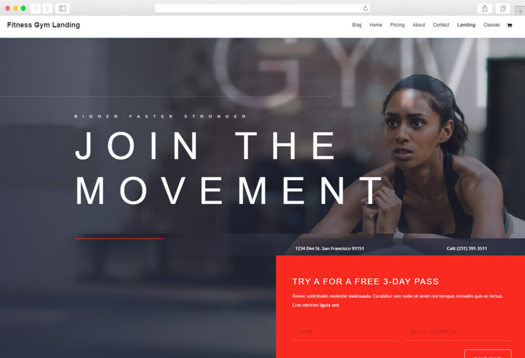 WordPress Fitness Themes