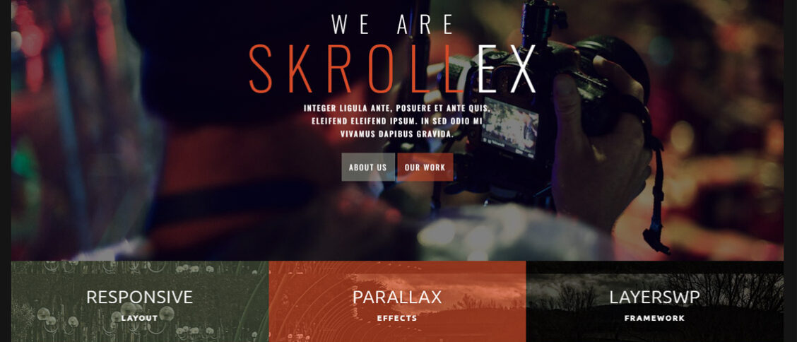 Parallax WordPress themes