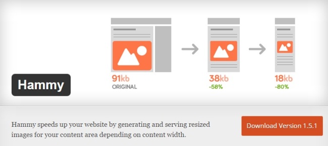 Hammy wordpress plugin