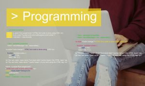 Programming Script Text Coding Word